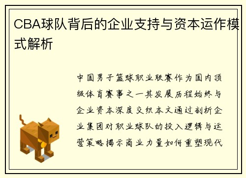CBA球队背后的企业支持与资本运作模式解析